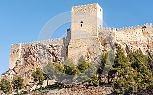 Castle of Almansa photo