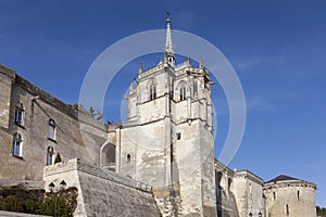 Castle of Amboise photo