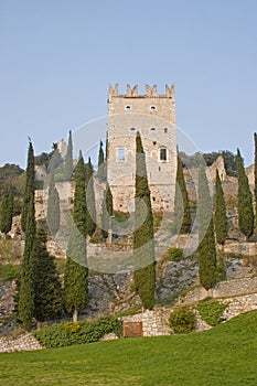 Castle of Arco