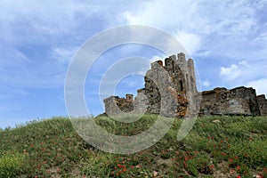 Castle of Arraiolos