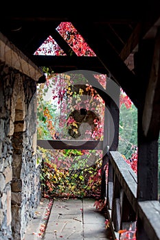 Castle balcony with grape