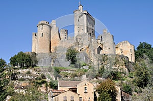 Castle of Bonaguil, Aquitaine, France photo