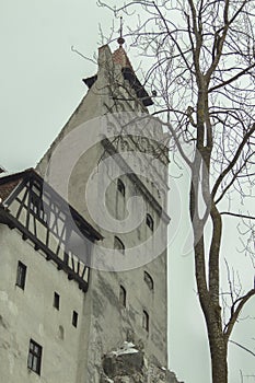 Castle in Bran village in the winter.