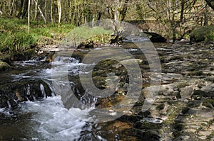 Castle Bridge over Dane's Brook