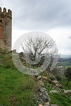 Castle at Burqillos del Serro, Estremadura, Spain photo