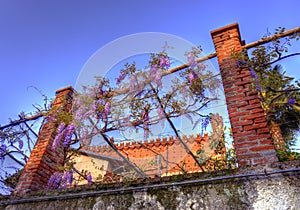 The castle of Candia among the wisterias