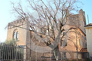 Castle Castello Scaligero behind fence and tree photo