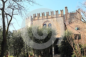 Castle Castello Scaligero behind trees and bushes photo