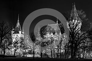 Castle in the City Park of Budapest by the night lights- Budapest