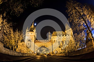 Castle in the City Park of Budapest by the night lights- Budapest