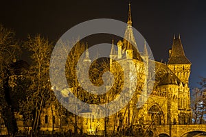 Castle in the City Park of Budapest by the night lights- Budapest