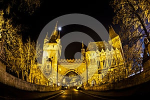 Castle in the City Park of Budapest