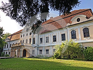 Castle of count Jankovic / Dvorac Jankovic / Dvorac Jankovica Daruvarskih/ photo