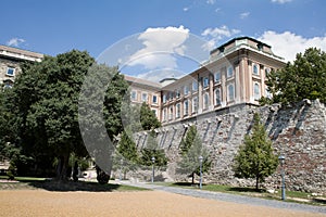Castle detail in Buda