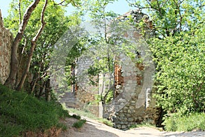 Castle Devicky on Palava