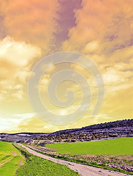 Castle in the fields photo