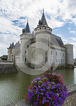 Castle with flowers near Loire