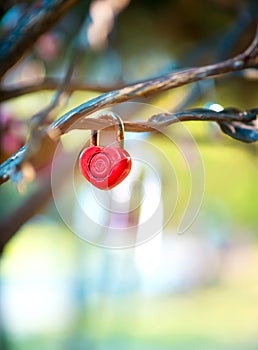 Castle in the form of a red heart on a metal tree on a blurred background for a romantic couple. Valentine`s Day concept