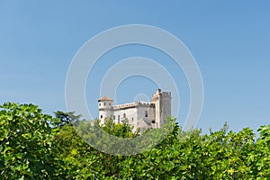 Castle in France photo
