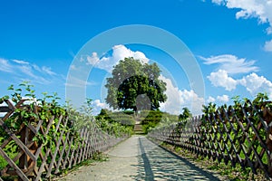 Castle garden in Kromeriz, CZ