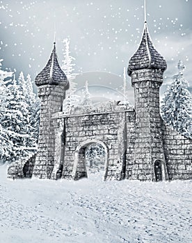 Castle gate with snow