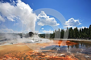 Castle geyser photo