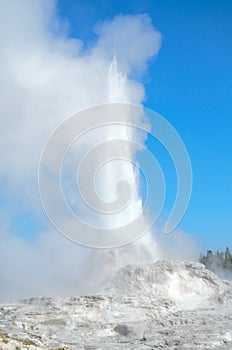 Castle Geyser erupting photo