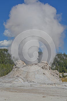 This is Castle Geyser erupting in the Upper Geyser Basin. This massive cone erupts scalding watering has a huge mineral formation. photo