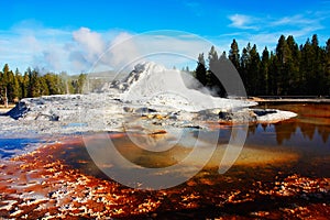 Castle Geyser, Yellowstone