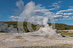 Castle Geyser, Yellowstone National Park