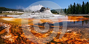 Castle Geyser, Yellowstone National Park