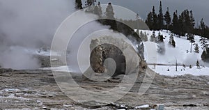 Castle Geyser, Yellowstone National Park