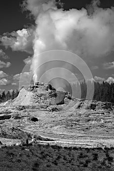 Castle Geyser in Yellowstone National Park