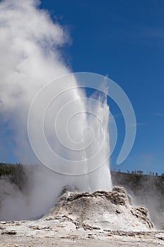 Castle Geyser Yellowstone National Park