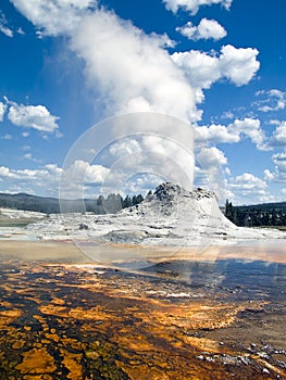 Castle Geyser, Yellowstone National Park, Wyoming