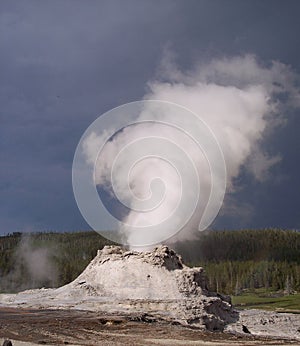 Castle Geyser Yellowstone National Park Wyoming