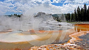 Castle Geysir, Yellowstone Nationalpark, USA