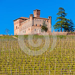 Castle of Grinzane Cavour, Piedmont, Italy