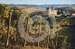 The castle of Grinzane Cavour, surrounded by the vineyards of Langhe, the most importan wine district of Italy
