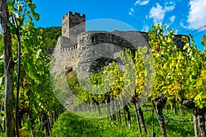 Castle Hinterhaus in Spitz Wachau Austria and vineyard