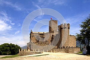 Castle of Javier, SangÃÂ¼esa, Navarra, photo
