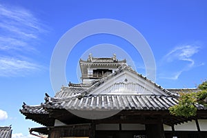 Castle keep of Kochi castle