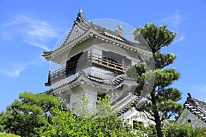 Castle keep of Kochi castle