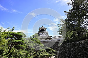 Castle keep of Kochi castle