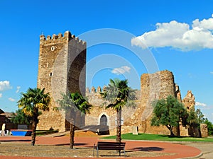 castle of Laguna de Negrillos photo