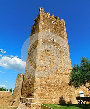 castle of Laguna de Negrillos photo