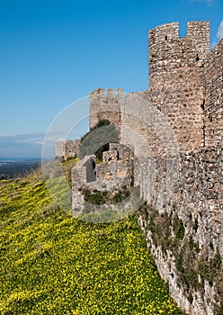 Castle Landscape Portrait