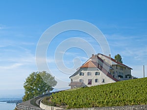 Castle in Lavaux vineyards, Switzerland