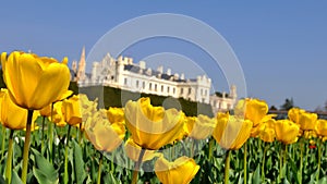 Castle Lednice,UNESCO heritage site