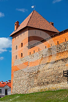 Castle in Lida